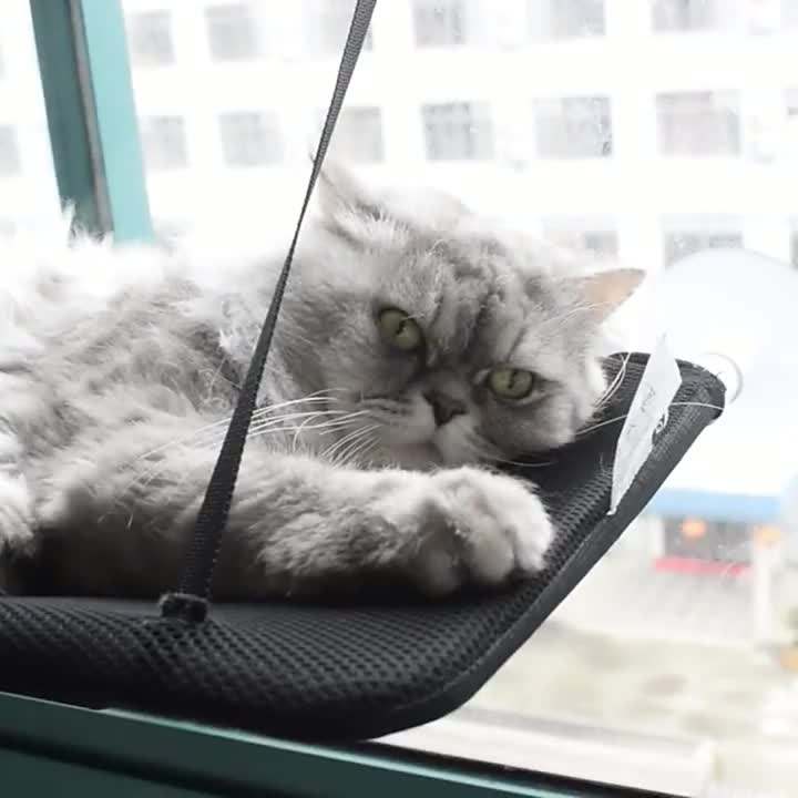Hamaca Asoleadero de Ventosa para Gatos