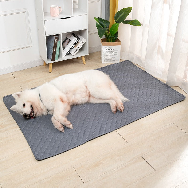 Empapador Lavable y Reutilizable para Mascotas