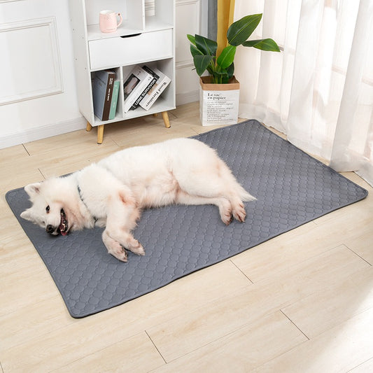 Empapador Lavable y Reutilizable para Mascotas
