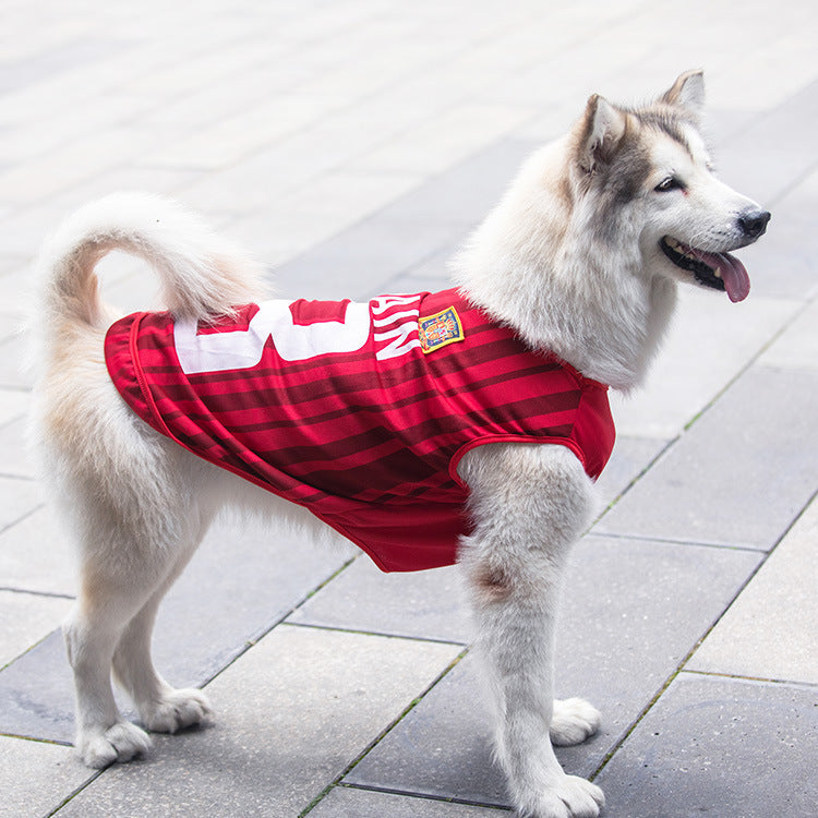 Chaleco Deportivo para Perros