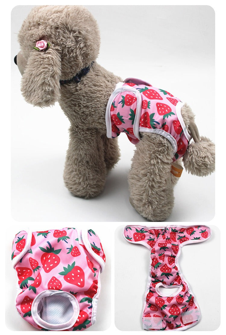 Braguita Fisiológica Estampado Cartoon para Perras
