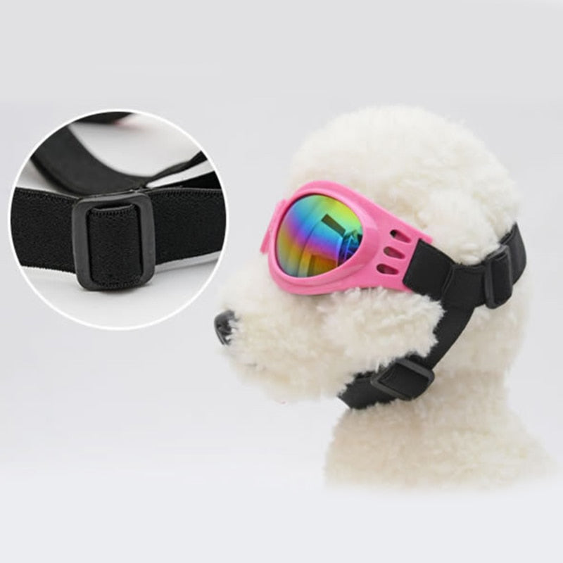 Gafas de Sol Protectoras para Perros