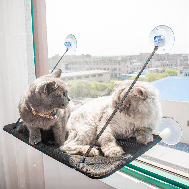 Hamaca Asoleadero de Ventosa para Gatos