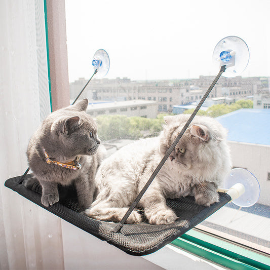 Hamaca Asoleadero de Ventosa para Gatos