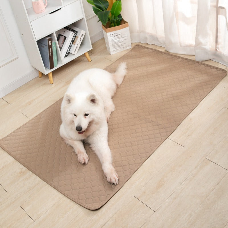 Empapador Lavable y Reutilizable para Mascotas