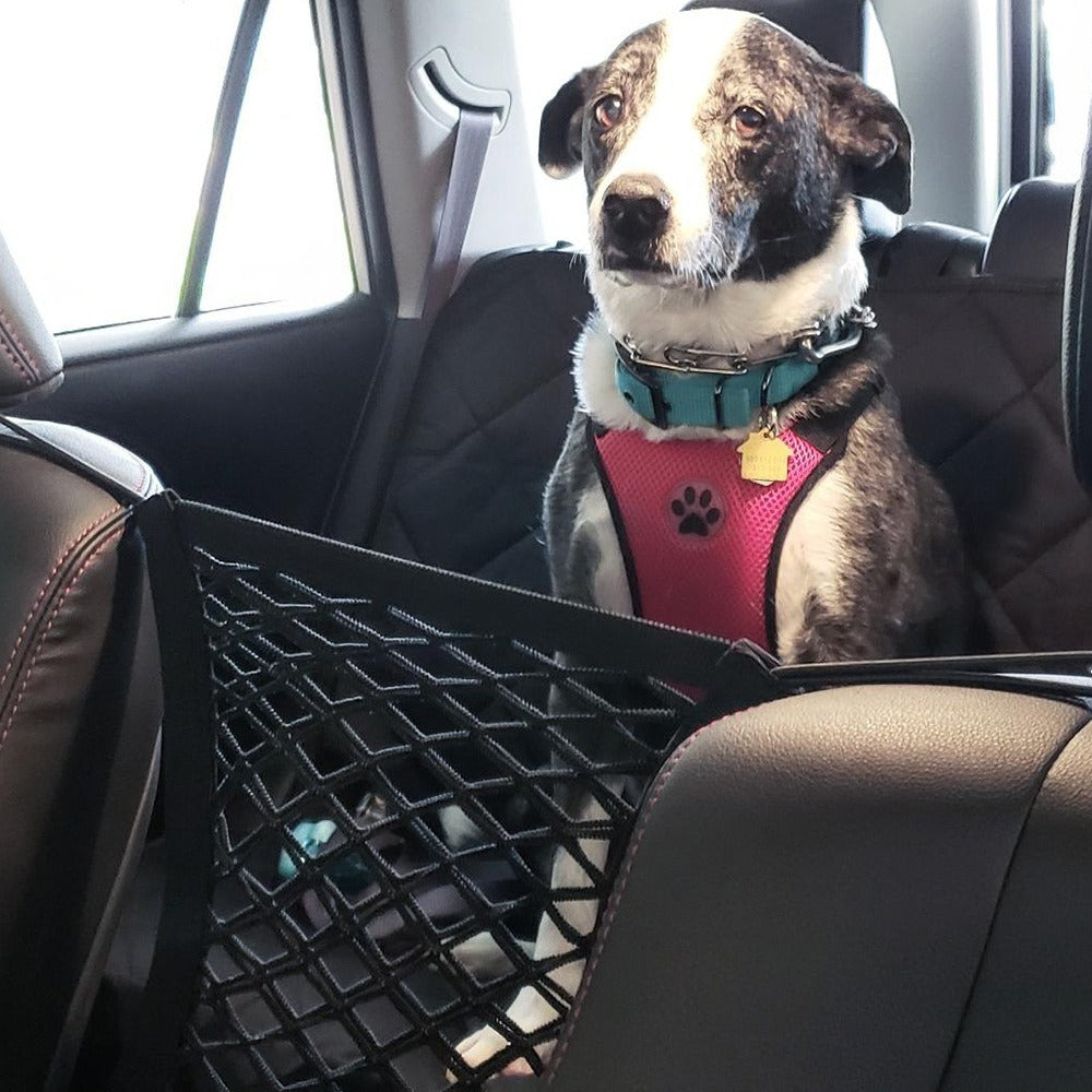 Red de Seguridad para Mascotas en el Coche