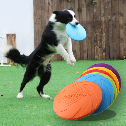 Frisbee Profesional para Perros