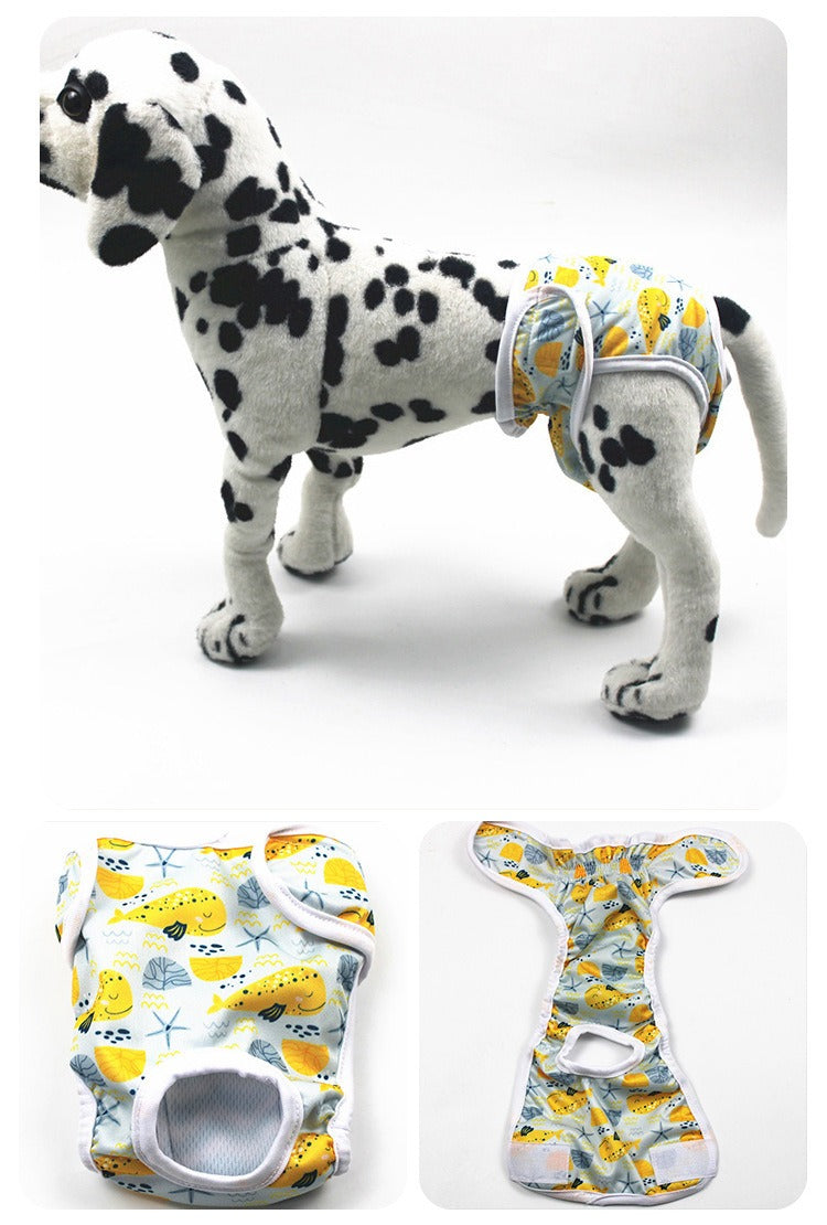 Braguita Fisiológica Estampado Cartoon para Perras