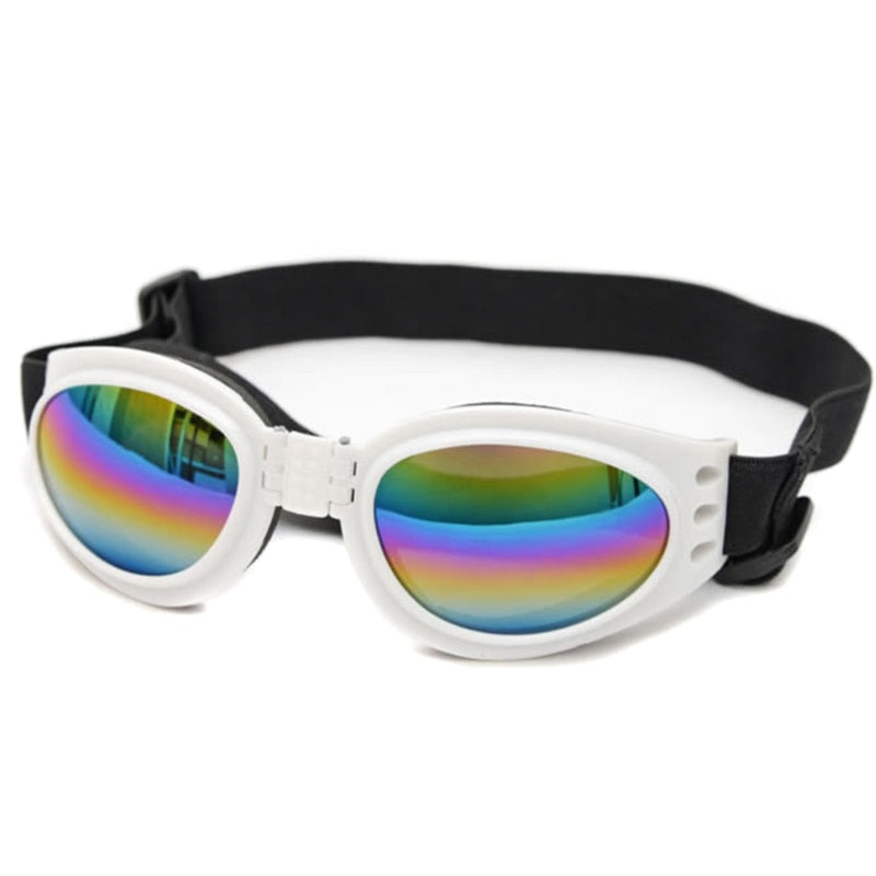 Gafas de Sol Protectoras para Perros