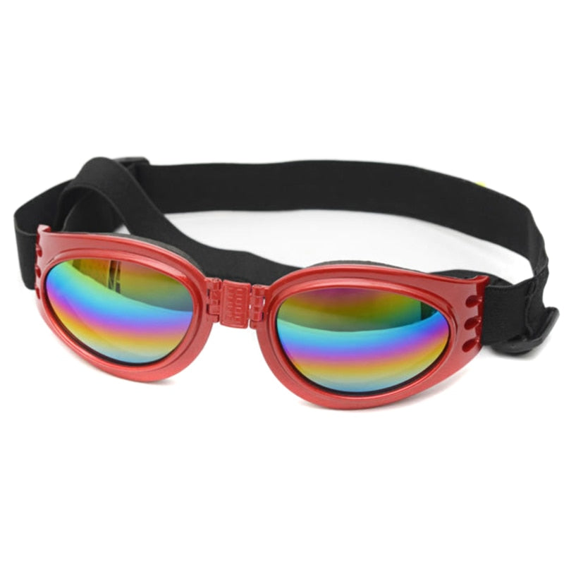 Gafas de Sol Protectoras para Perros